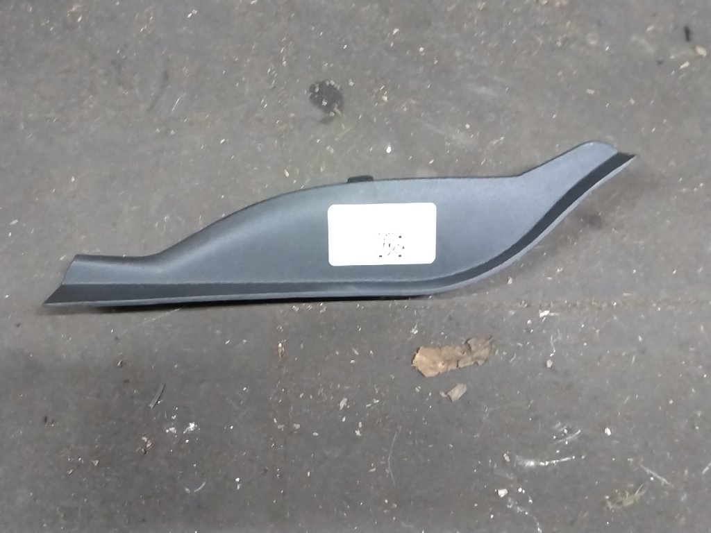 Left side protective molding