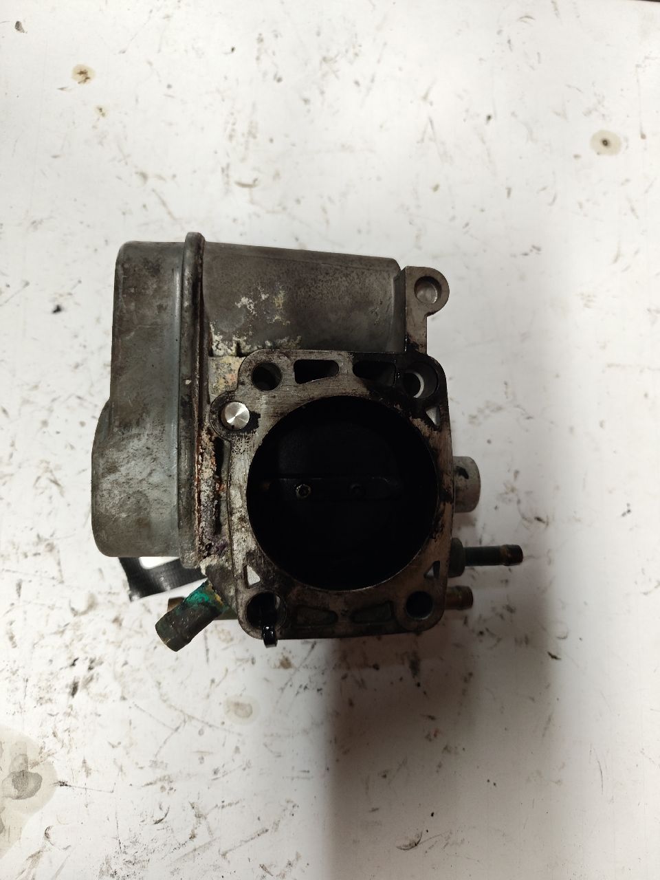 Papillon gaz  z14/16xe