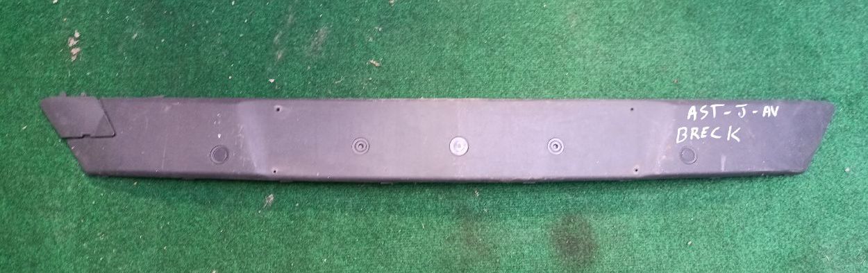 Front bumper molding