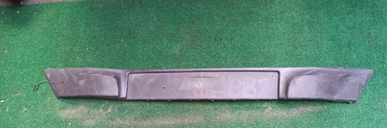 Front bumper molding