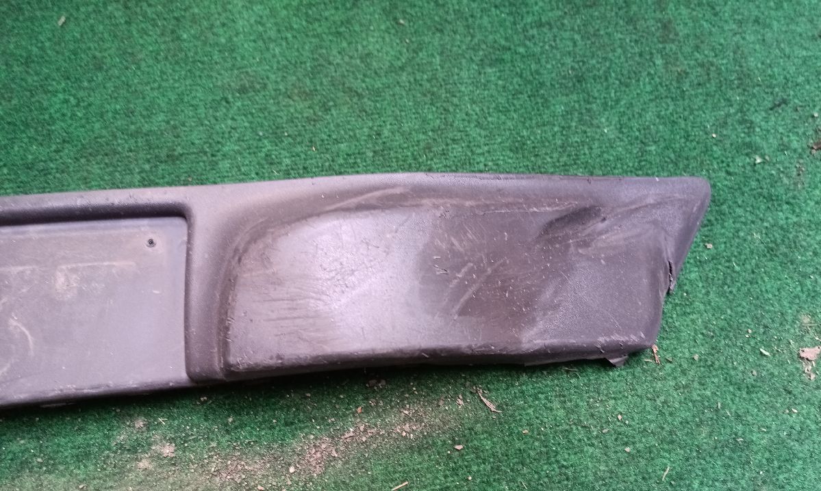 Front bumper molding