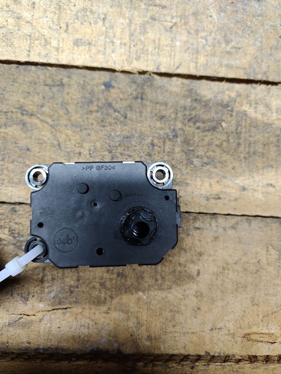 Actuator motor