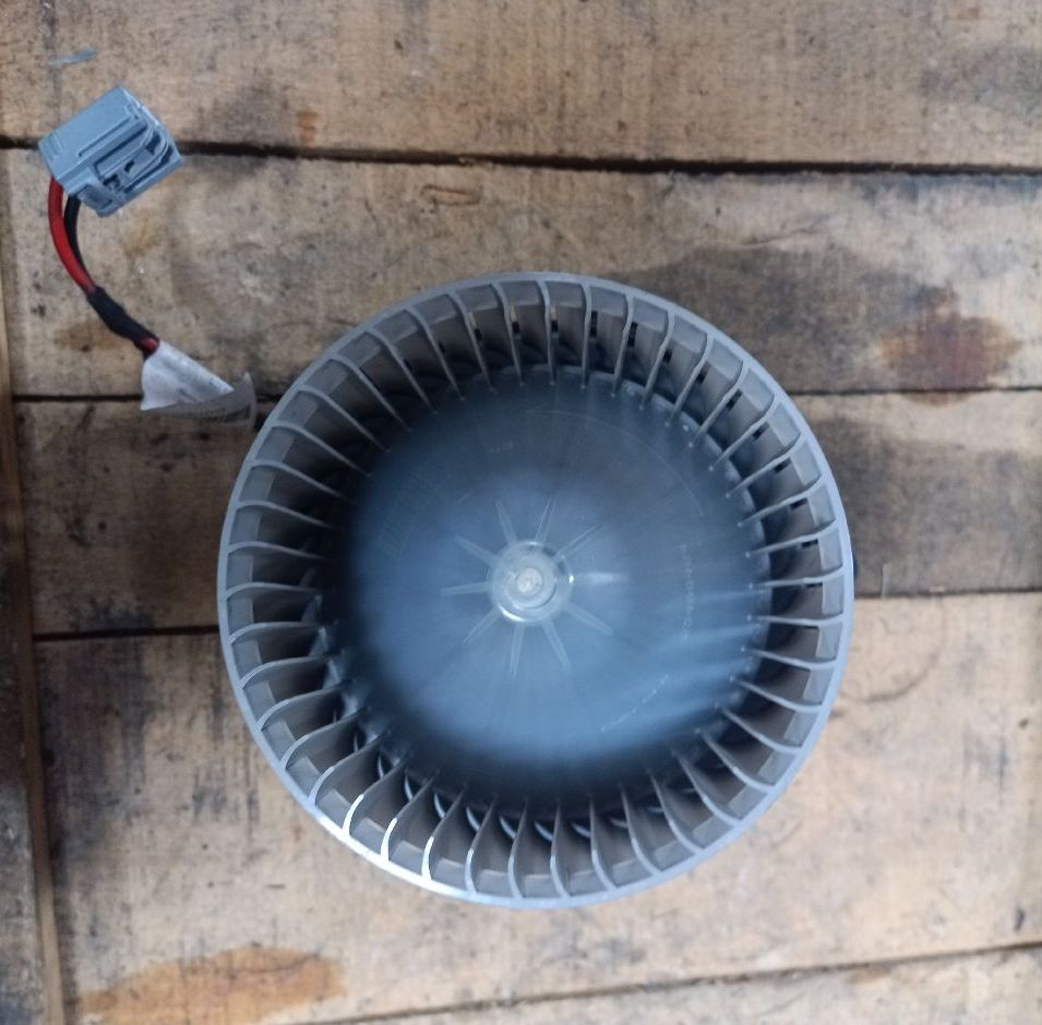 Fan motor