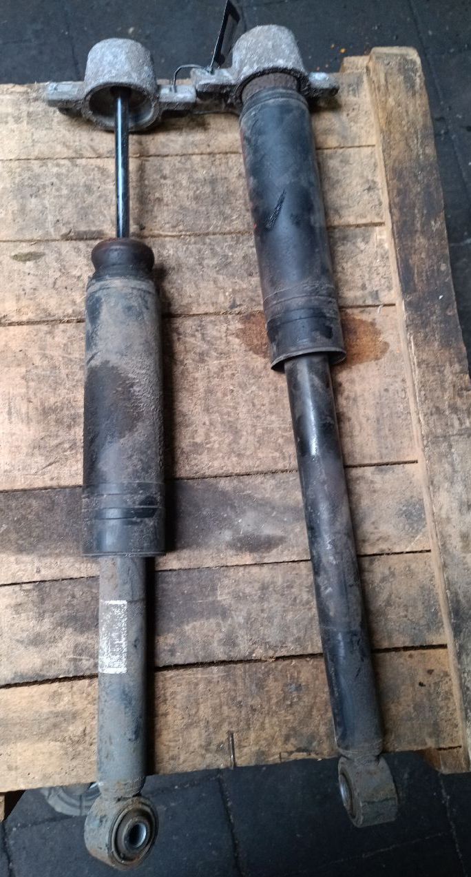 Insignia shock absorber
