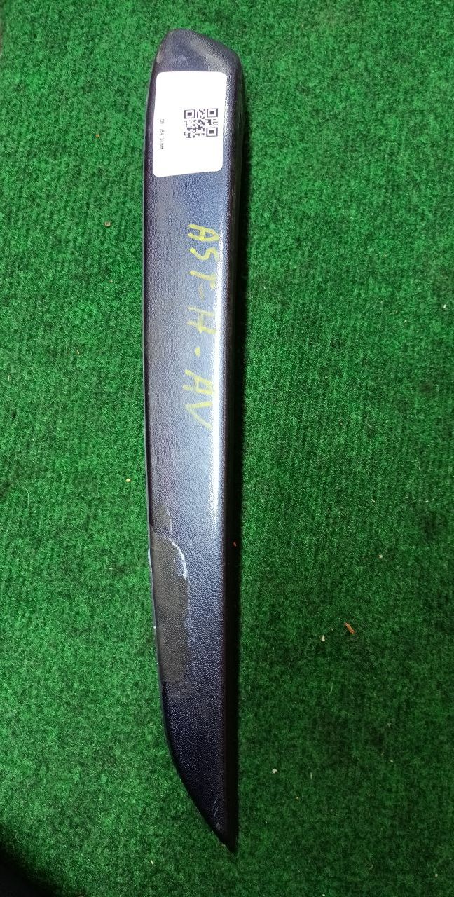 Left front bumper molding