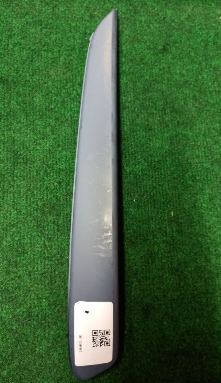 Right front bumper molding