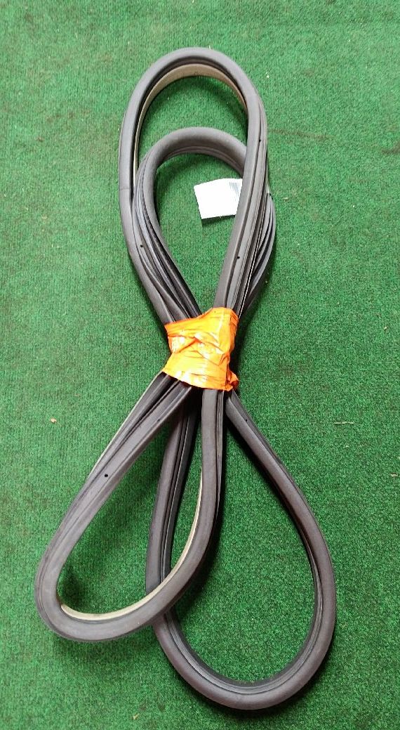 Left rear door seal