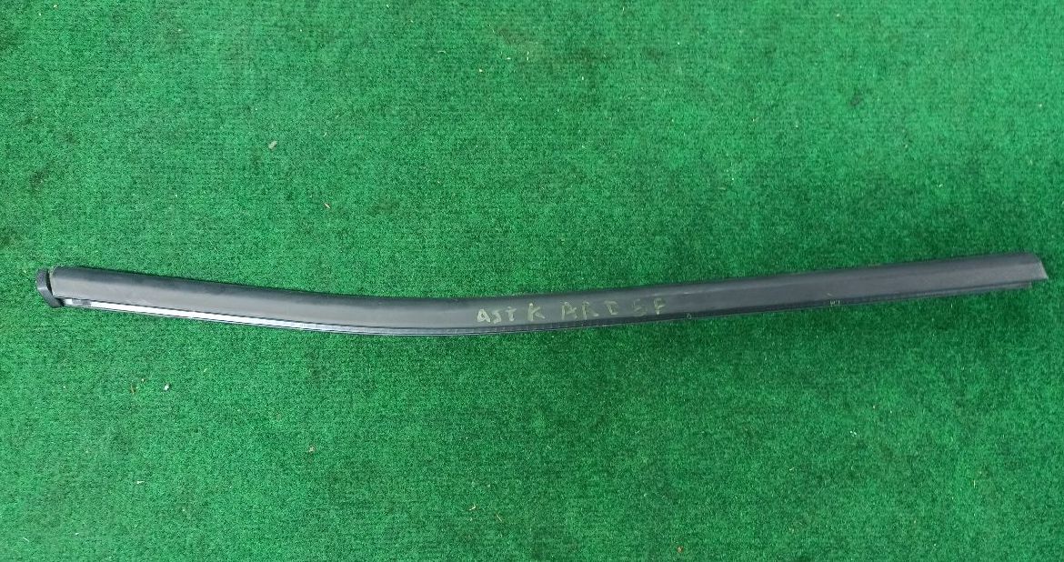 Rear door molding, left and right