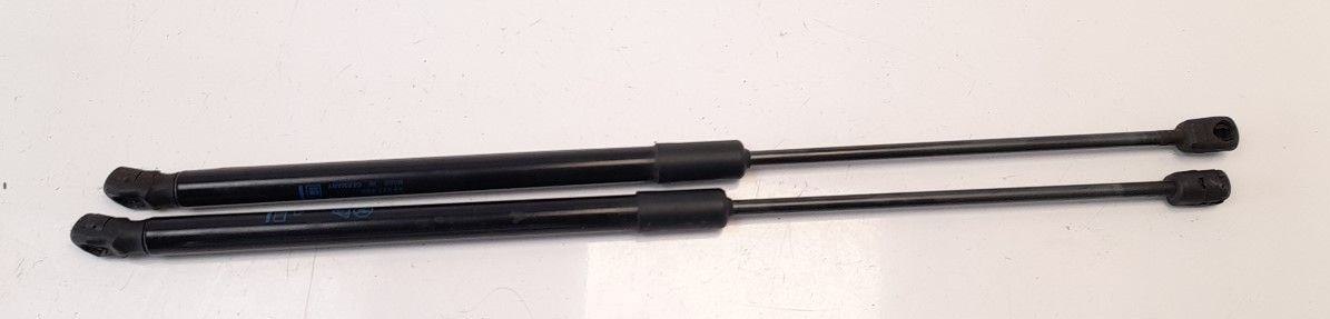 tailgate gas strut